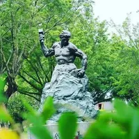 陈飞飞